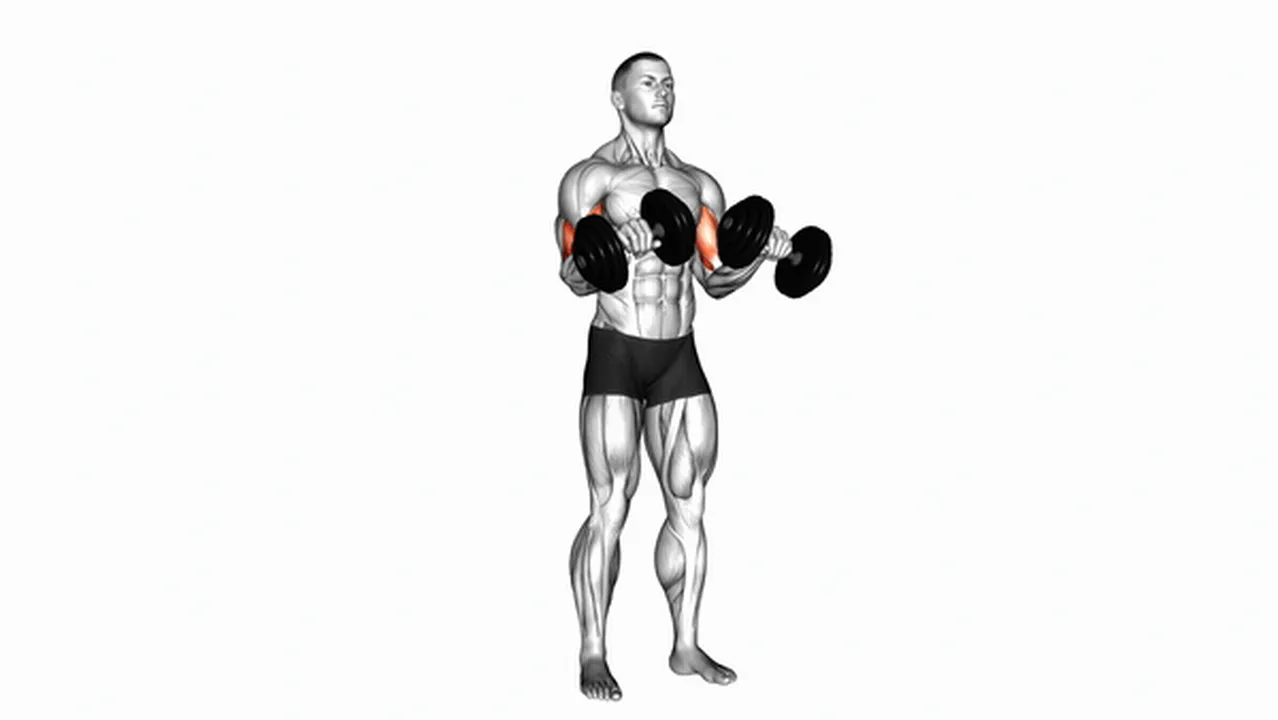 How to do Dumbbell Zottman Curls? Image