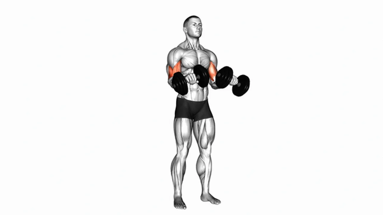 Common Dumbbell Zottman Curl variations Image