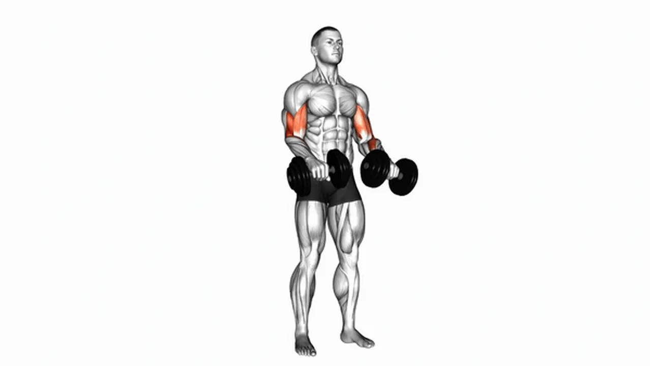 Alternatives to Dumbbell Zottman Curls Image