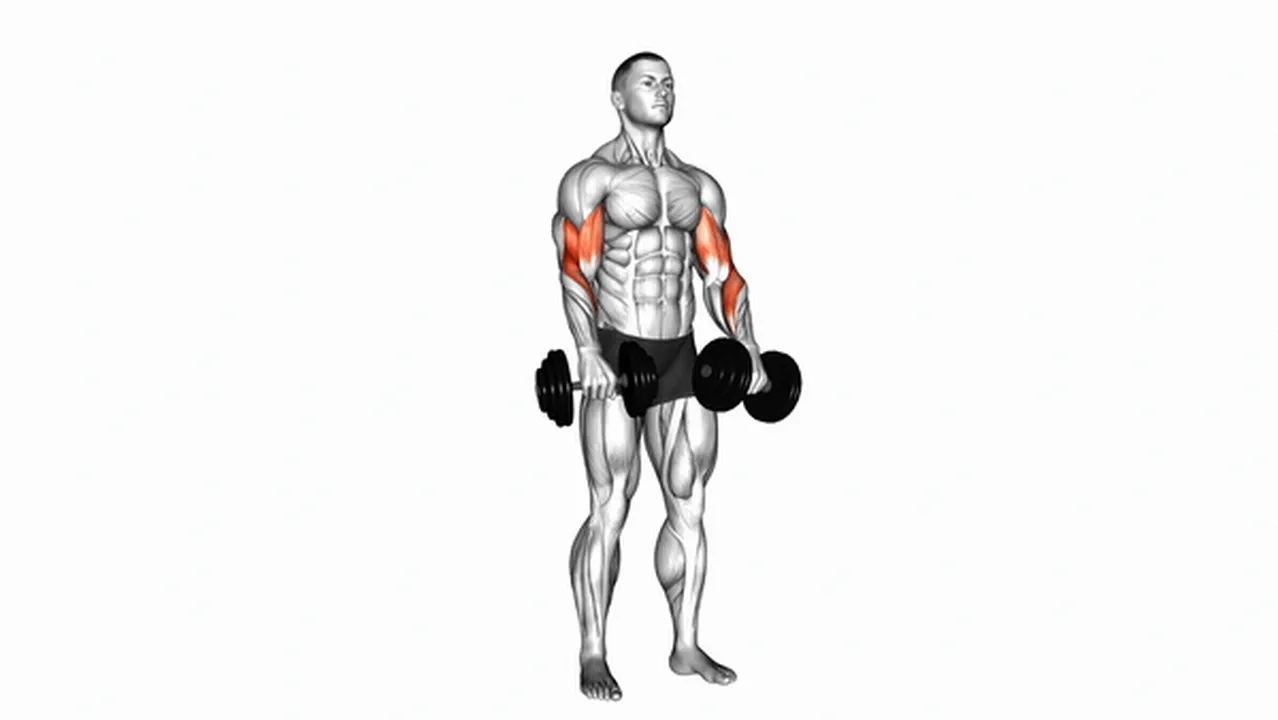 Common mistakes during Dumbbell Zottman Curls Image