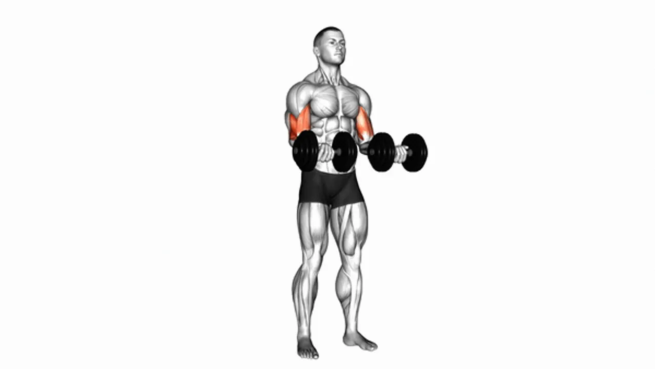 Dumbbell Zottman Curl