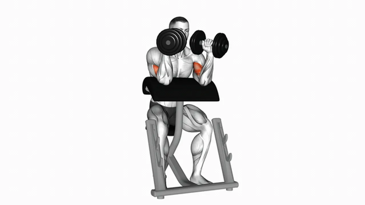 How to do Dumbbell Zottman Preacher Curls? Image