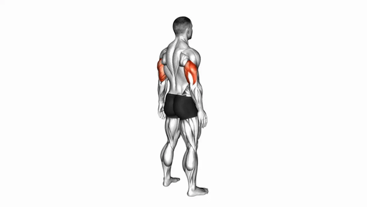 Common elbow extension variations Image