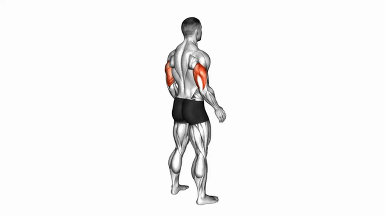 Alternatives to elbow extensions Image