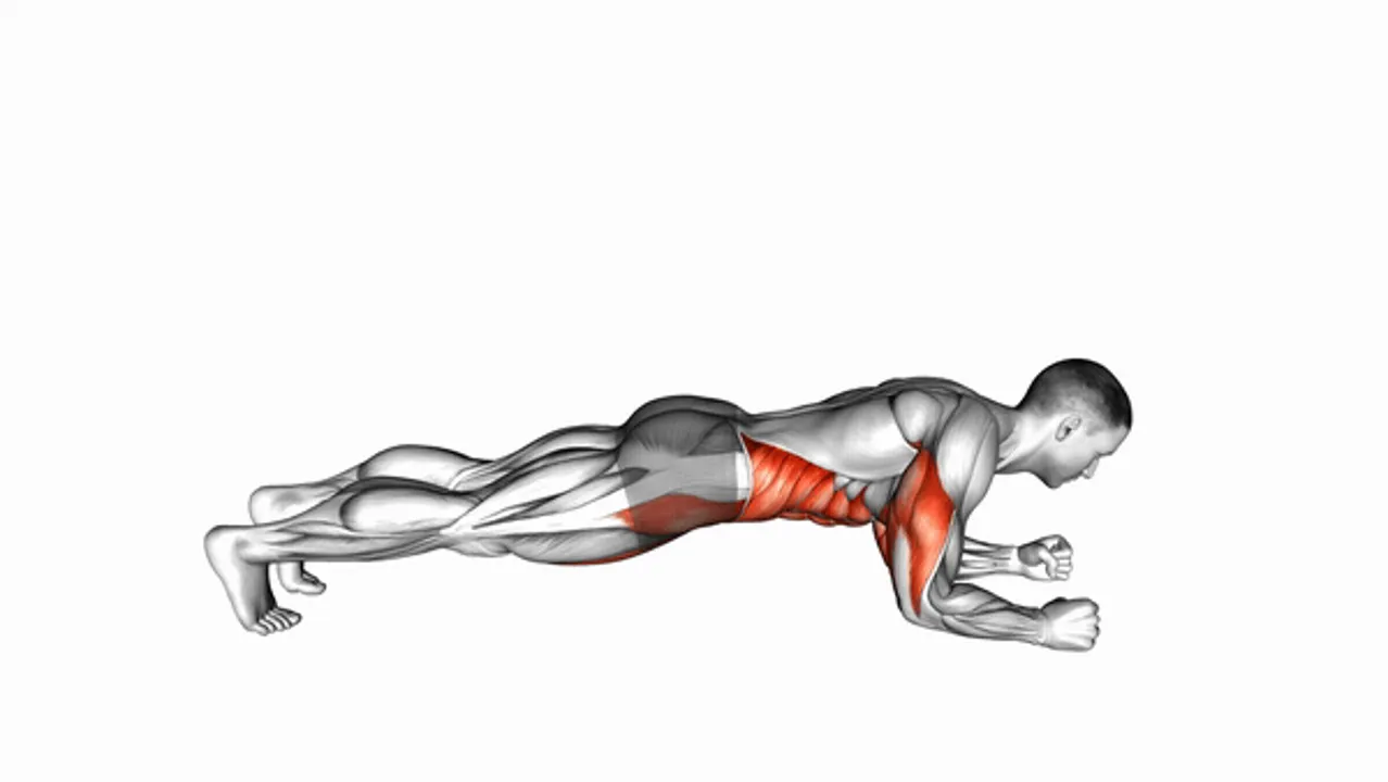 Elbow Up and Down Dynamic Plank