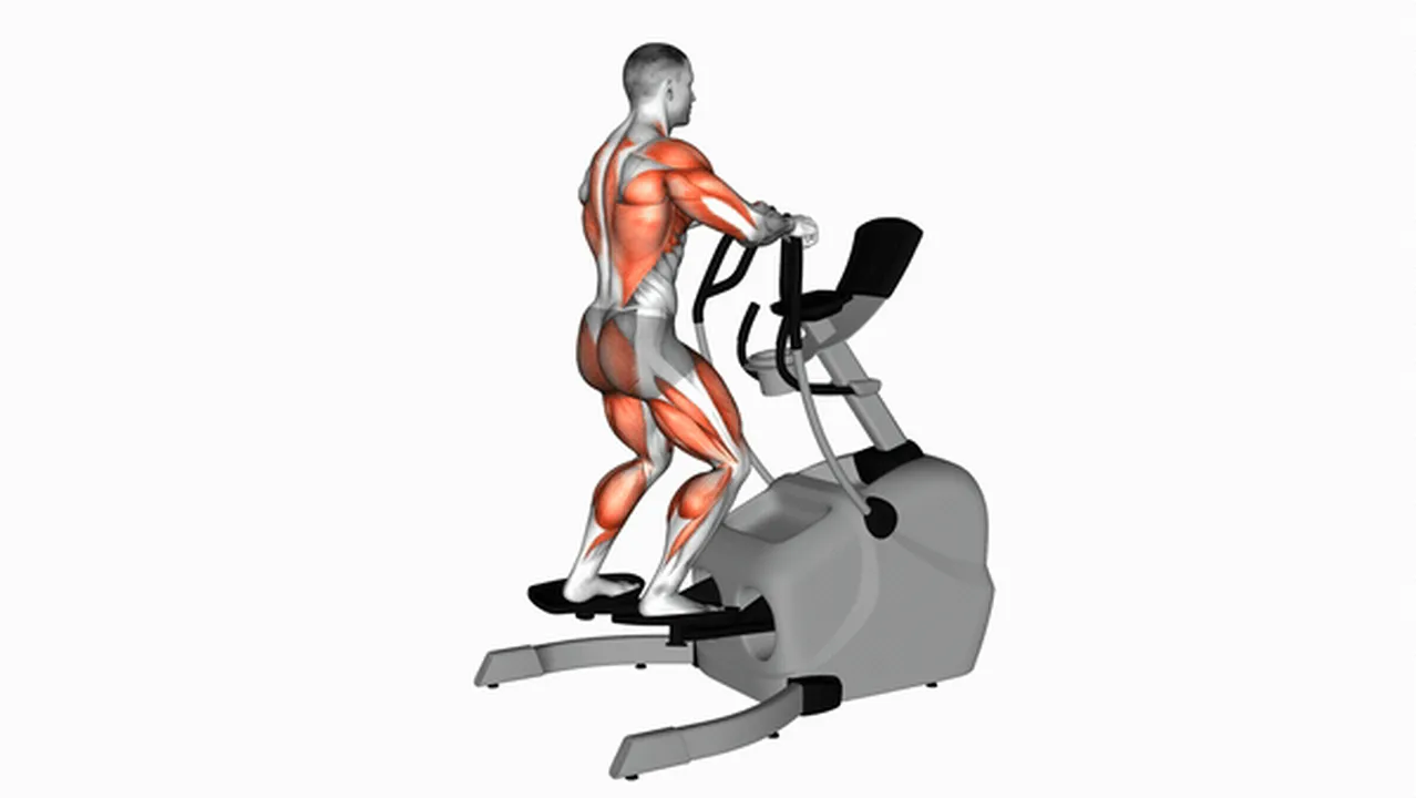 Alternatives to the Elliptical Lateral Walk Image