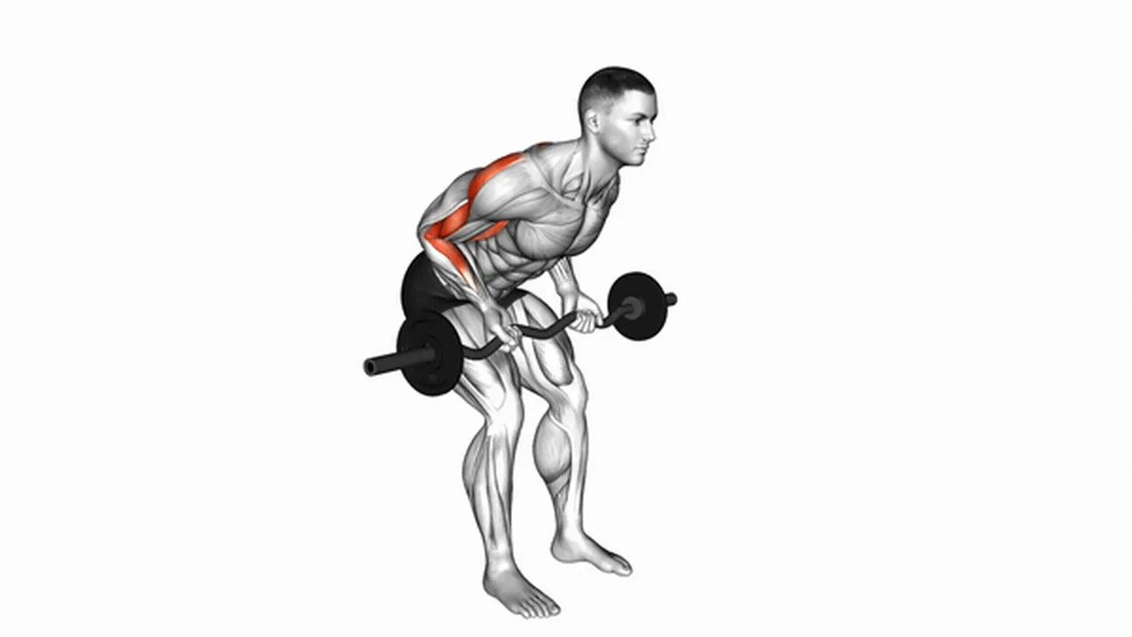 What are the benefits of the EZ Bar Reverse Grip Bent Over Row? Image