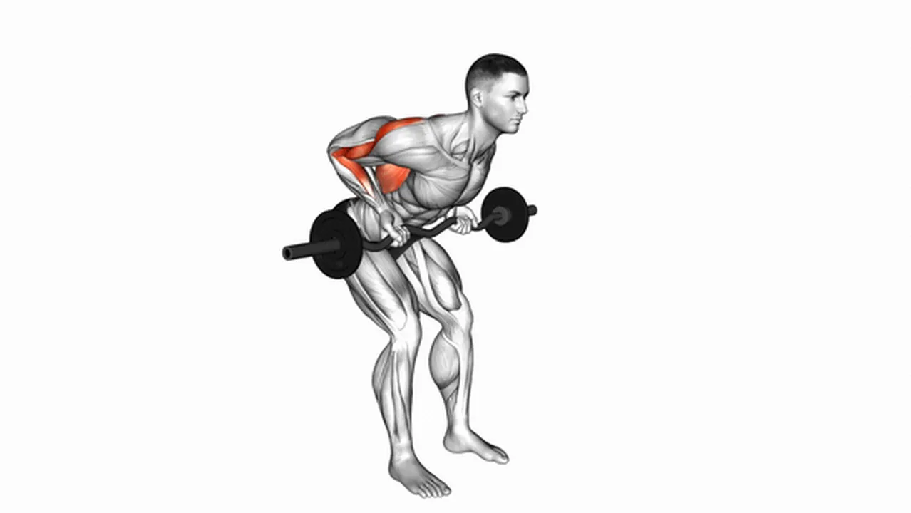 How to do the EZ Bar Reverse Grip Bent Over Row? Image