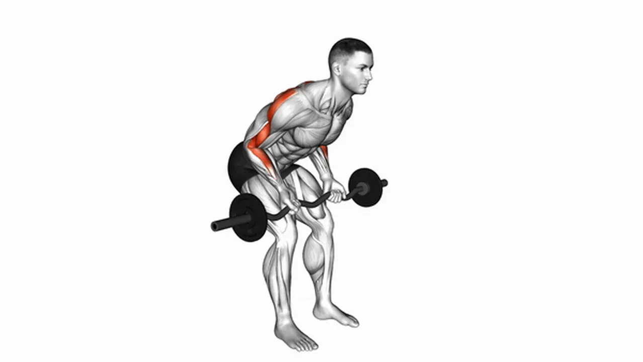 Alternatives to the EZ Bar Reverse Grip Bent Over Row Image