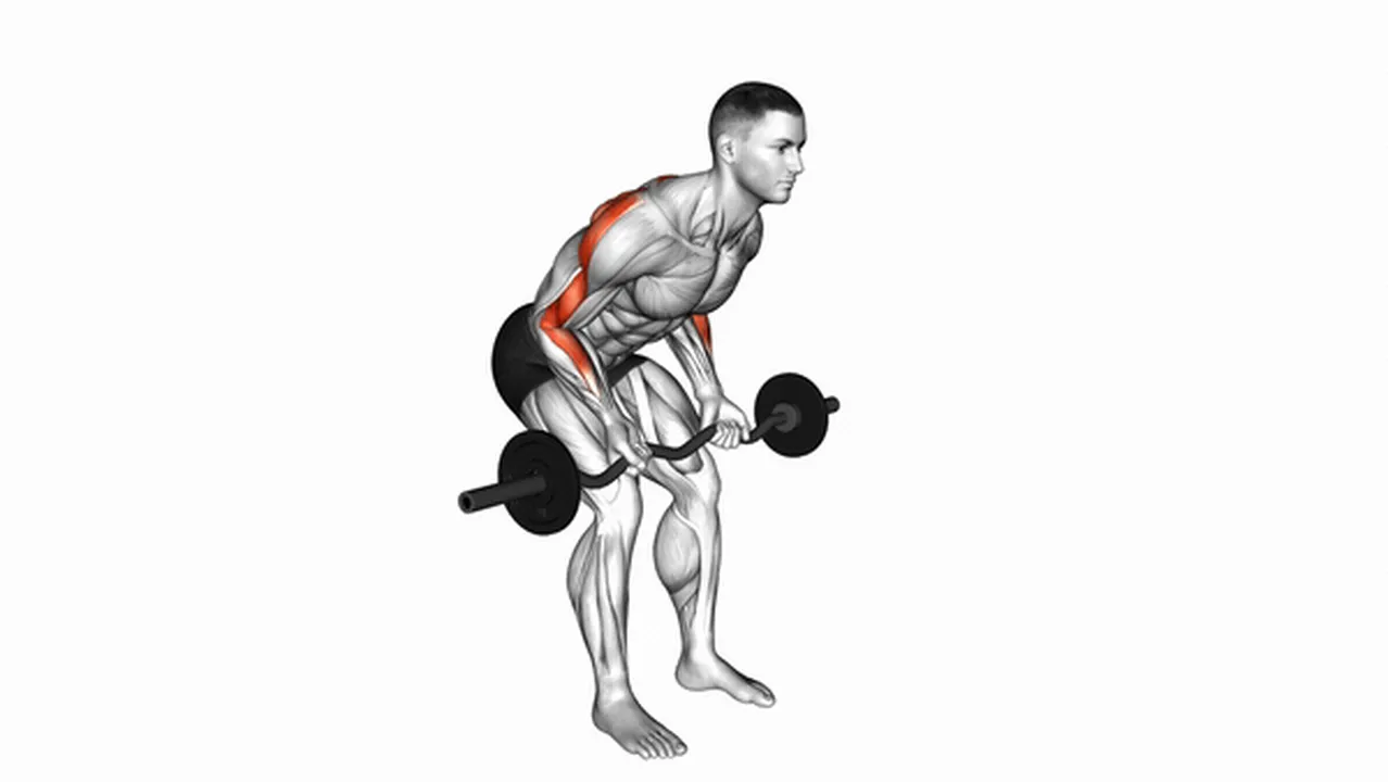 Common mistakes during the EZ Bar Reverse Grip Bent Over Row Image