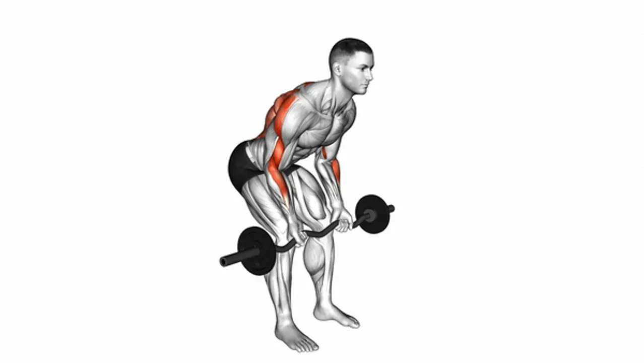 EZ Bar Reverse Grip Bent Over Row