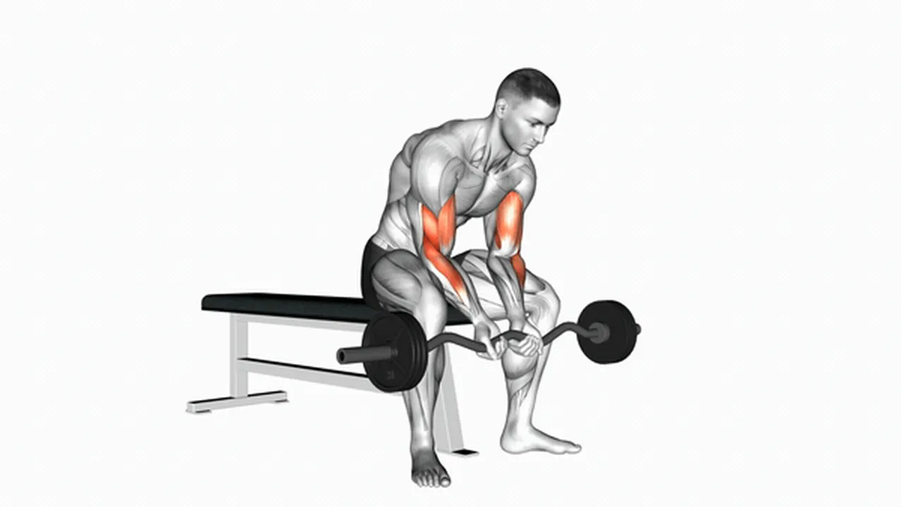 What are the benefits of EZ Bar Seated Close Grip Concentration Curls? Image