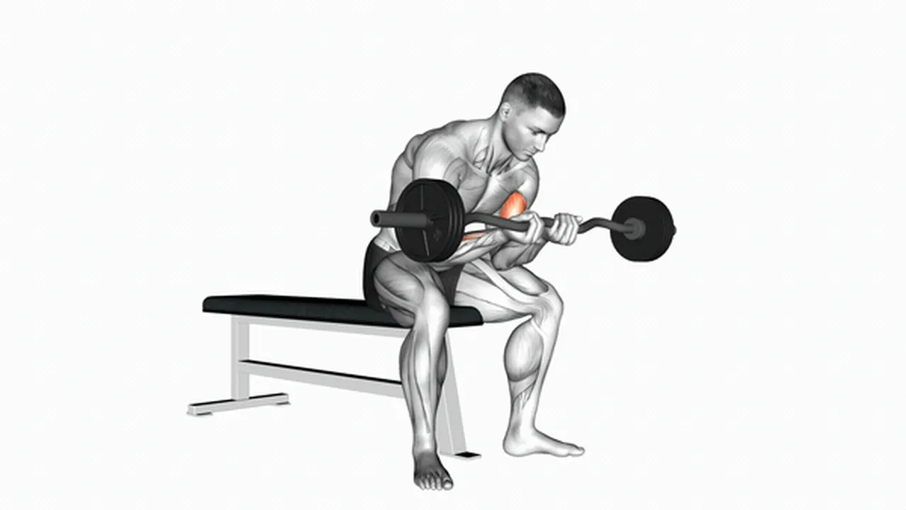 Common mistakes during EZ Bar Seated Close Grip Concentration Curls Image