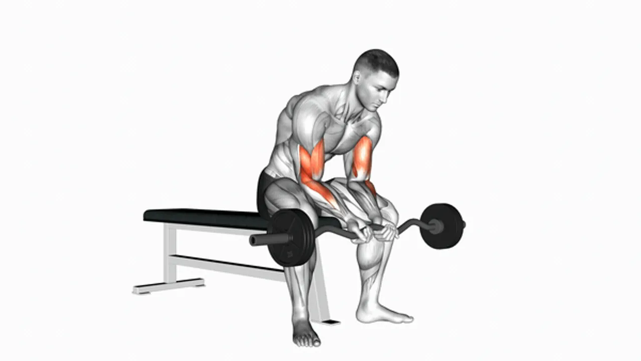 EZ Bar Seated Close Grip Concentration Curl