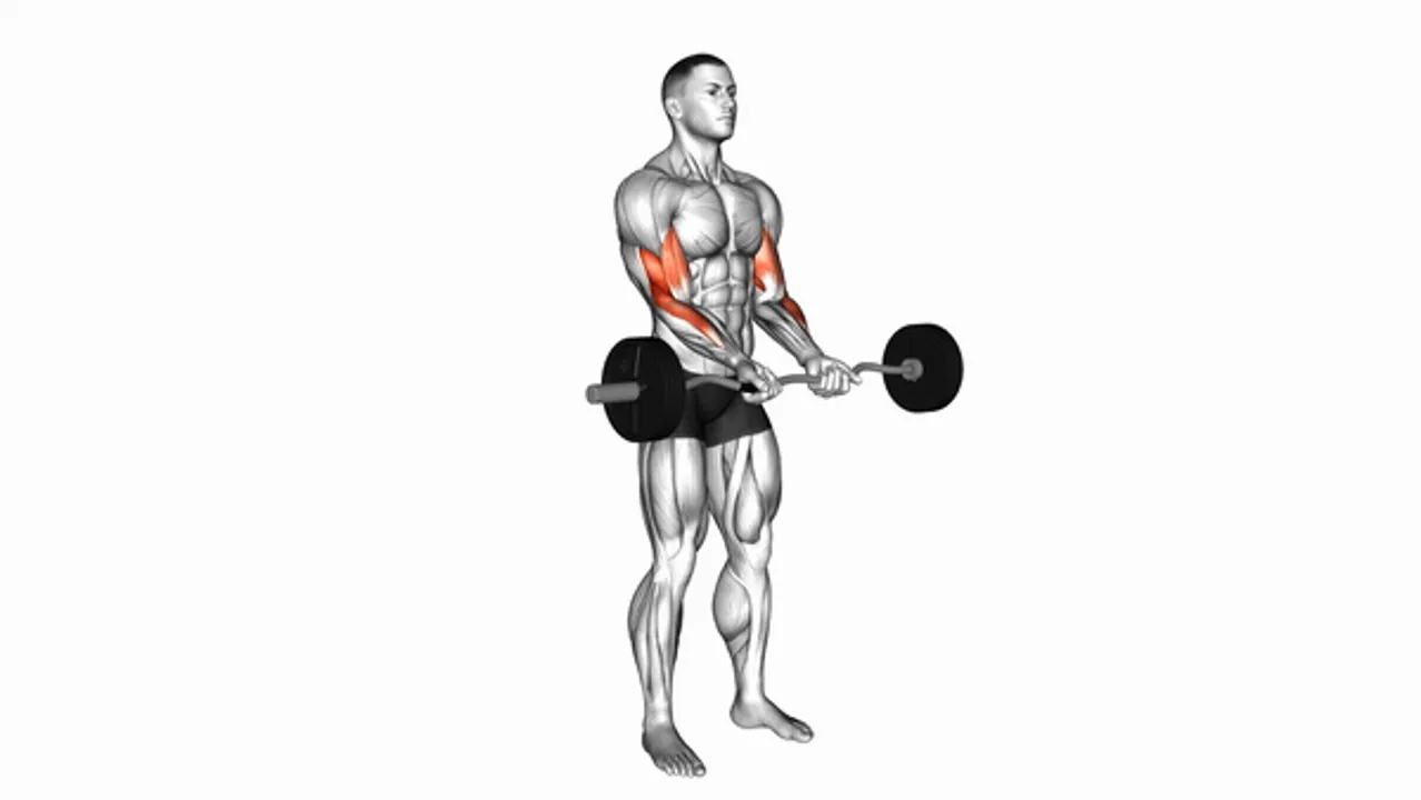 EZ Barbell Close Grip Curl