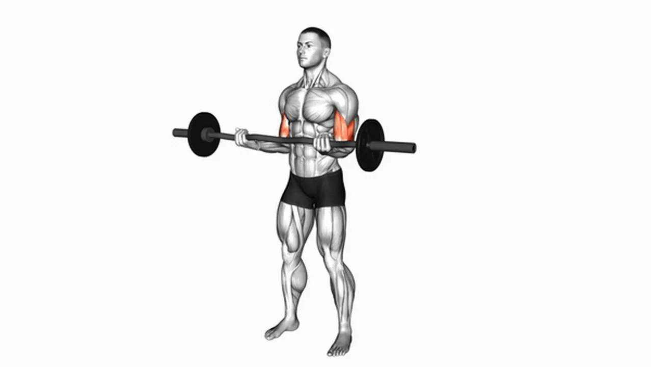 What are the benefits of EZ Barbell Curls? Image