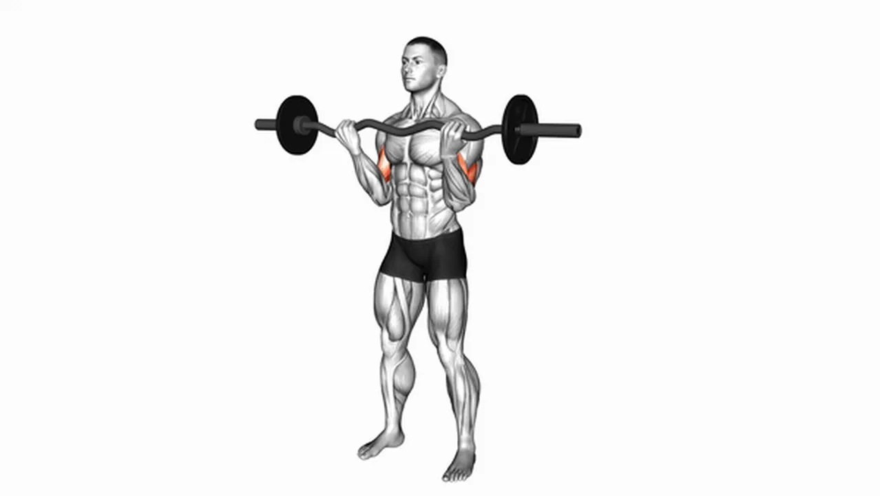 How to do EZ Barbell Curls? Image