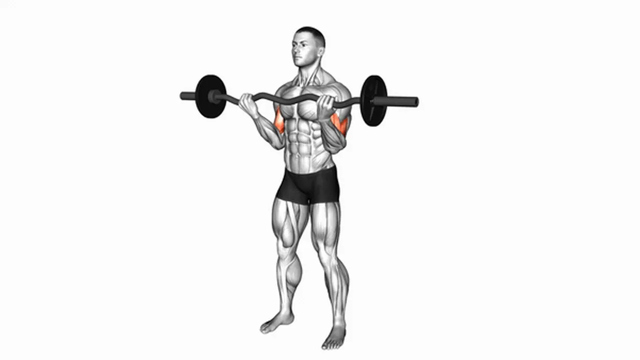 Common variations of EZ Barbell Curls Image