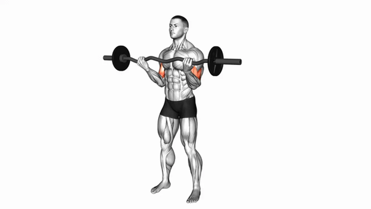 Alternatives to EZ Barbell Curls Image