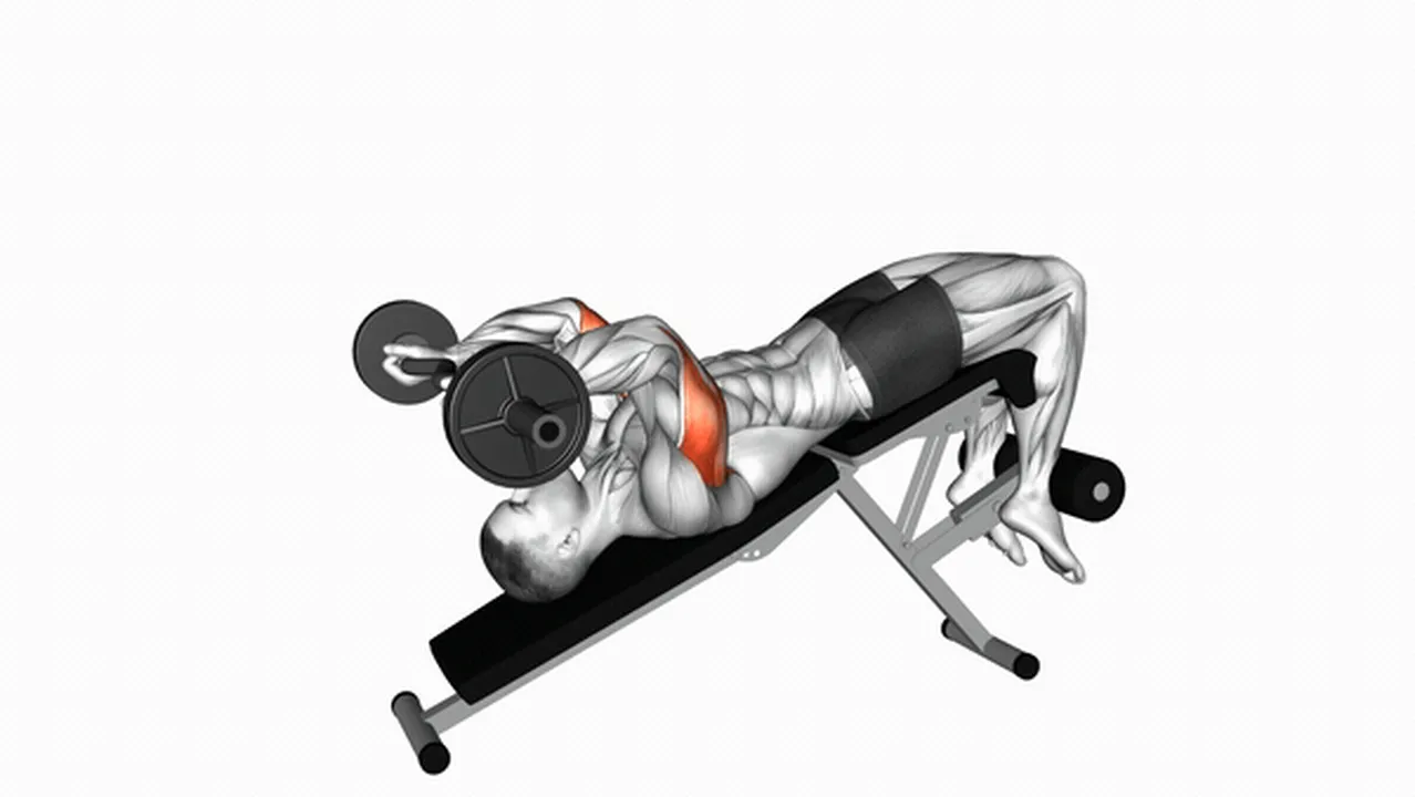 What are the benefits of EZ Barbell Decline Triceps Extensions? Image