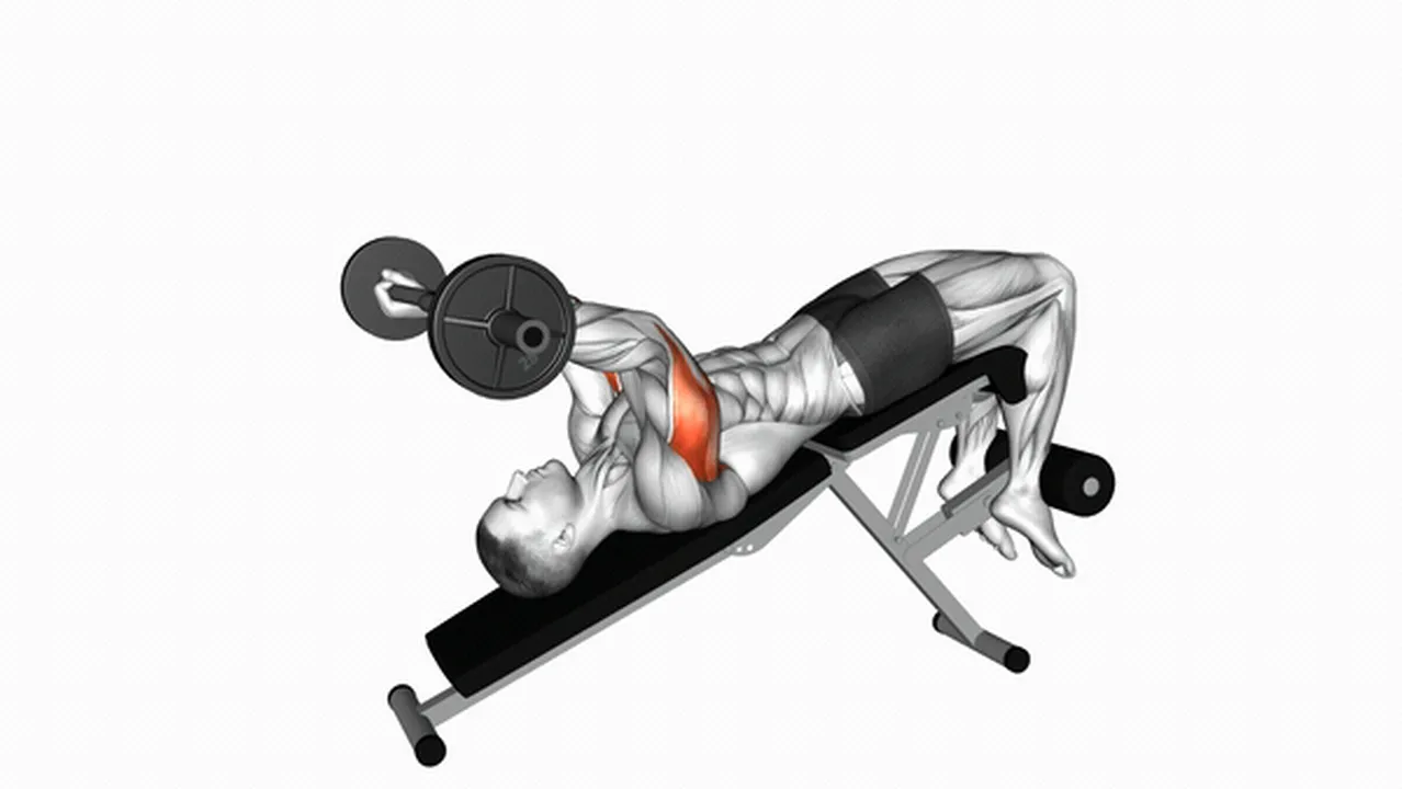 How to do EZ Barbell Decline Triceps Extensions? Image