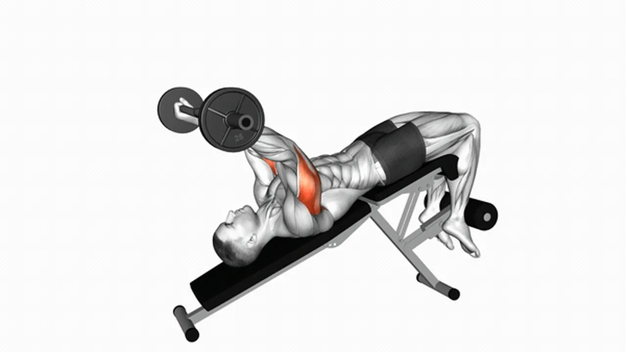 Common variations of EZ Barbell Decline Triceps Extensions Image