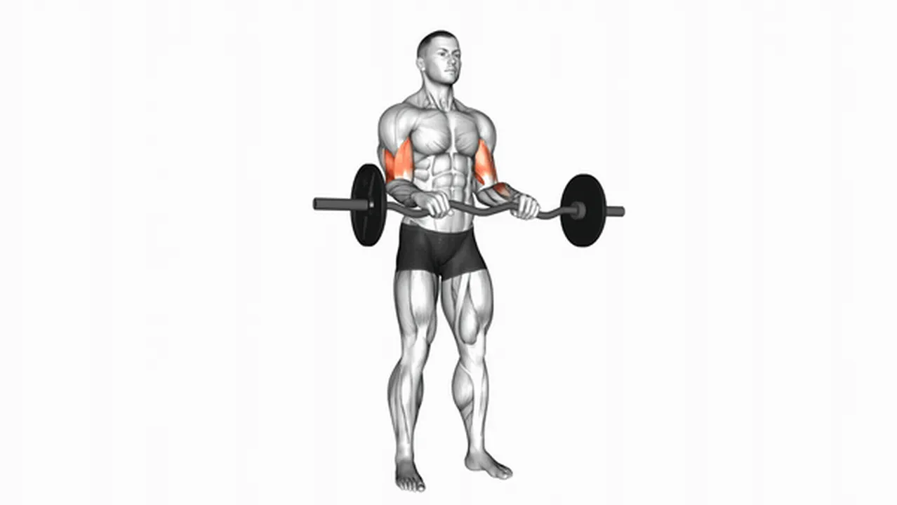 What are the benefits of EZ Barbell Reverse Grip Curls? Image