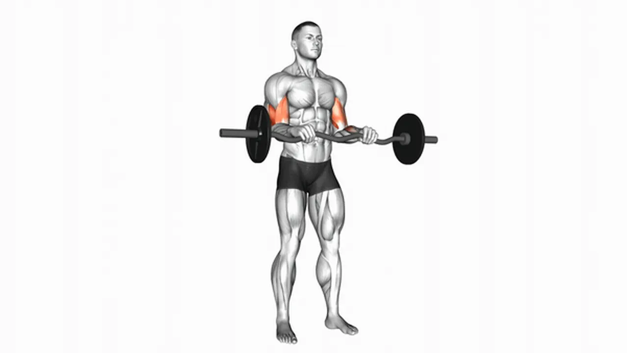 How to do EZ Barbell Reverse Grip Curls? Image