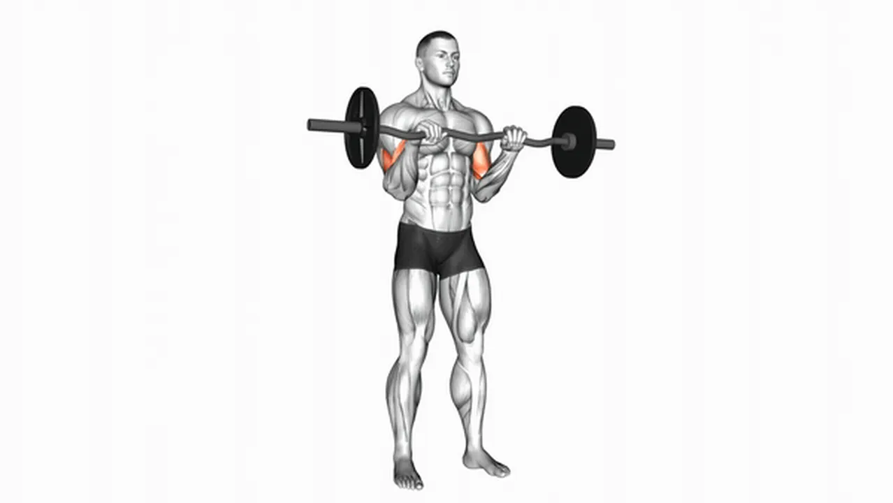 Common variations of EZ Barbell Reverse Grip Curls Image