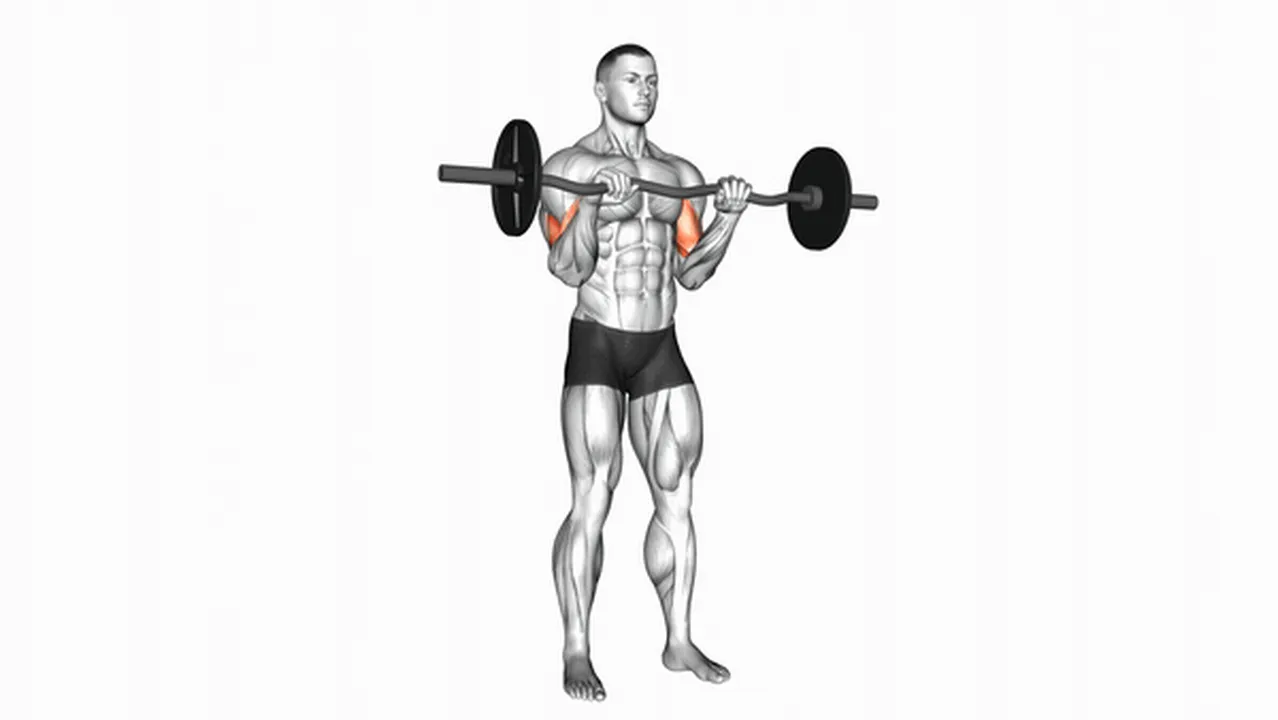 Alternatives to EZ Barbell Reverse Grip Curls Image