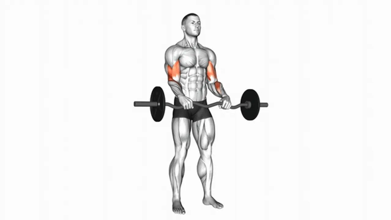 EZ Barbell Reverse Grip Curls