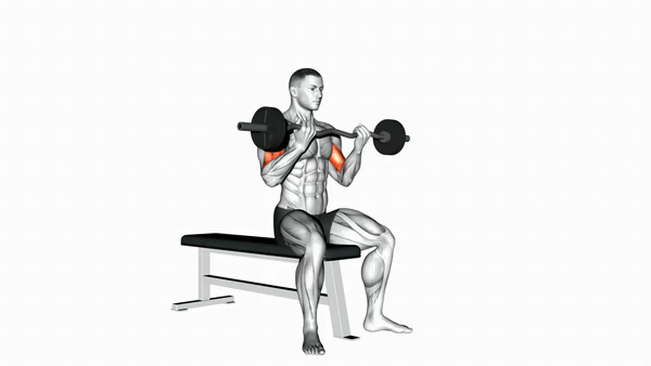 How to do EZ barbell seated curls? Image