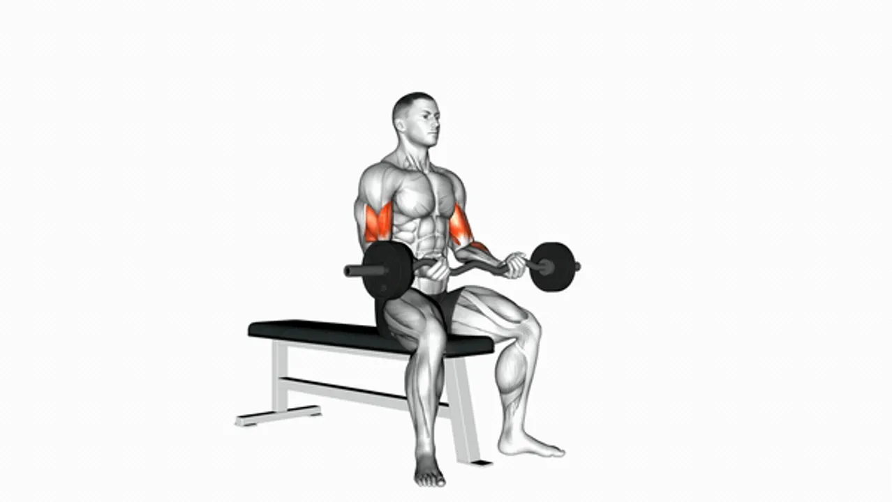 EZ Barbell Seated Curls