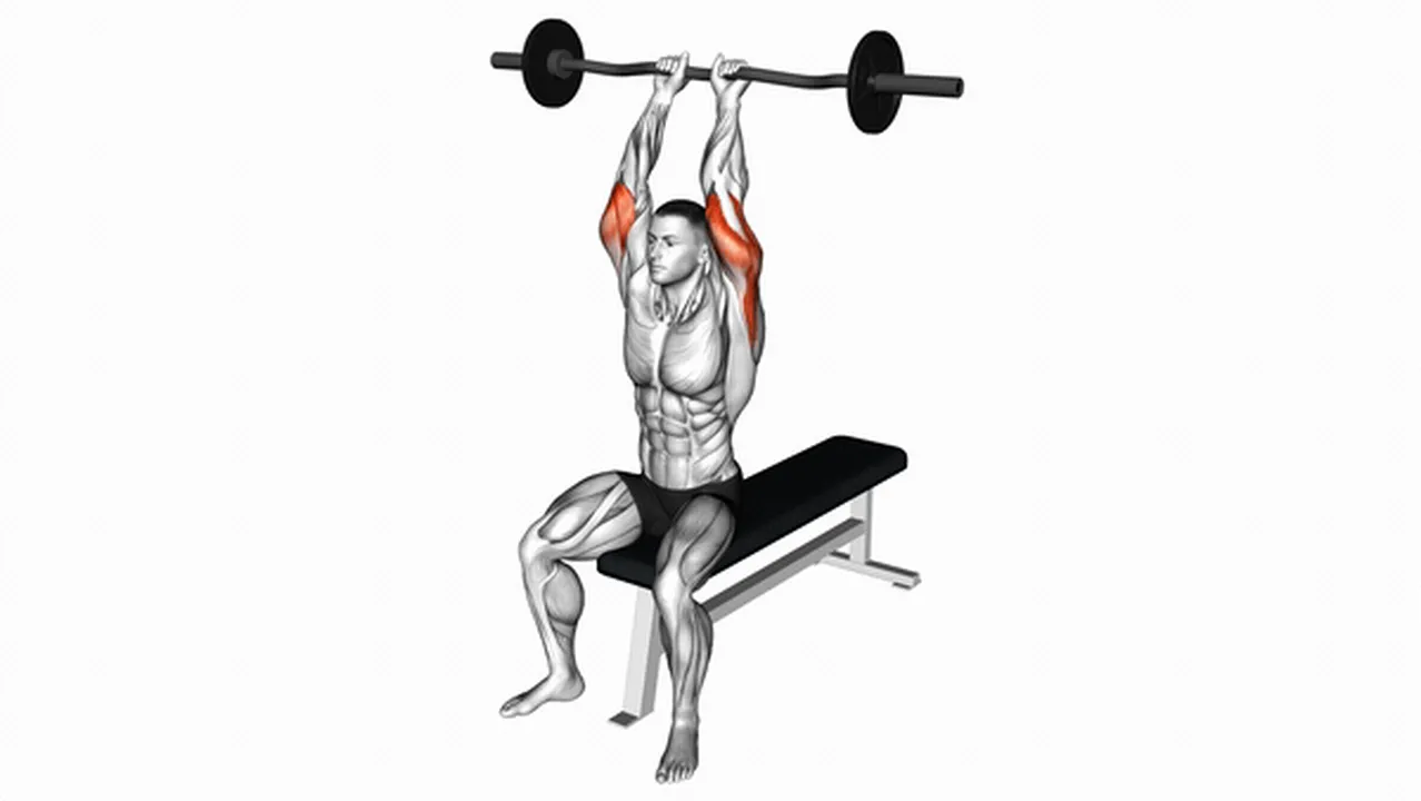 Common EZ Barbell Seated Triceps Extensions variations Image