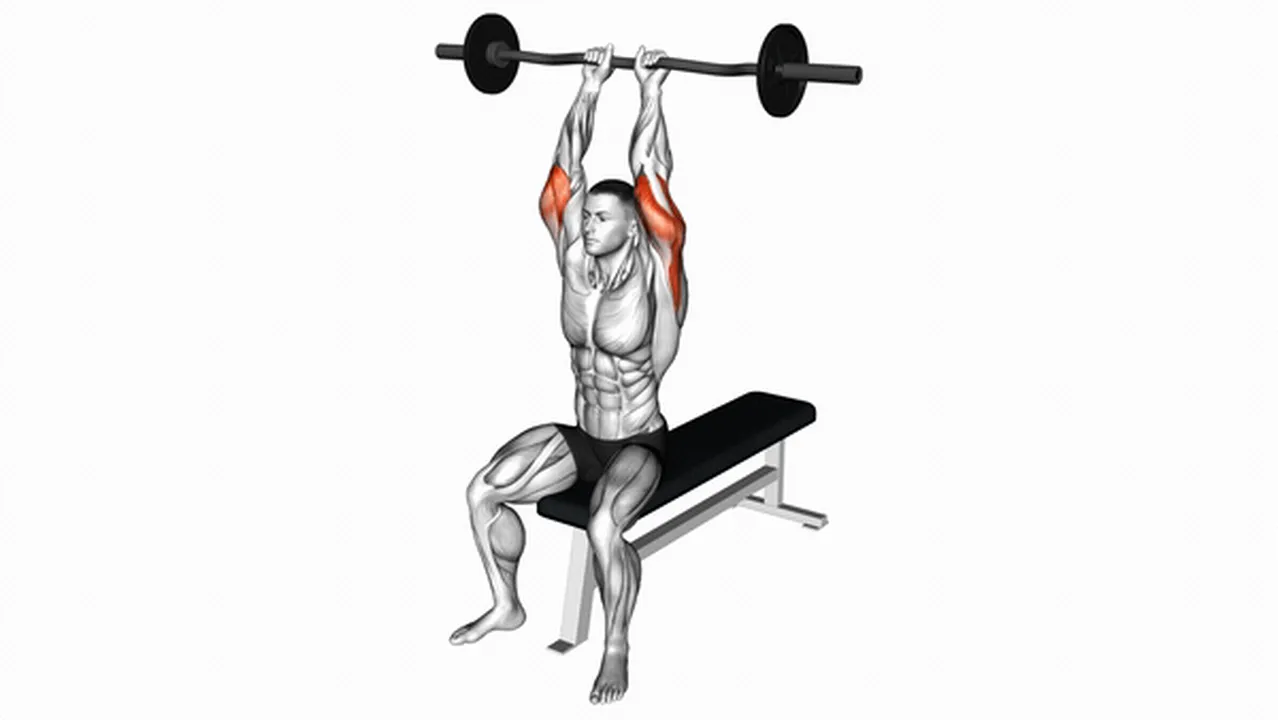 Alternatives to EZ Barbell Seated Triceps Extensions Image