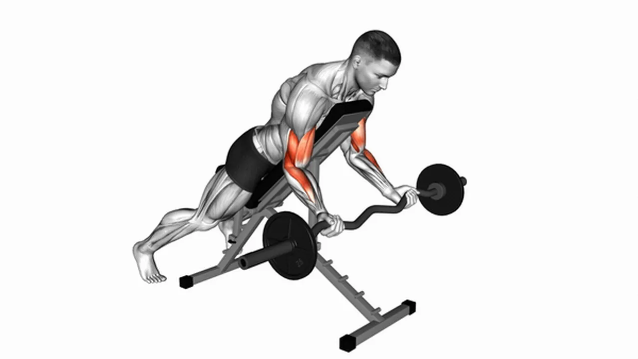 Common variations of EZ Barbell Spider Curls Image