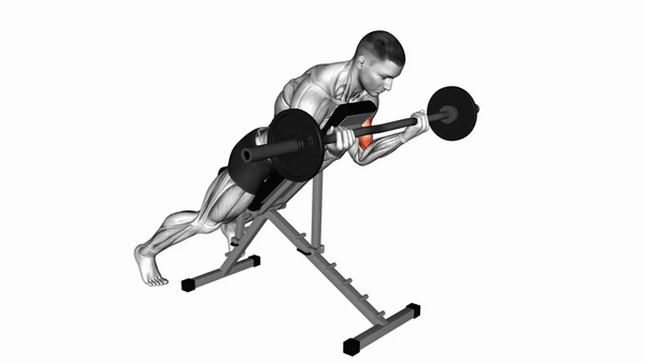 Alternatives to EZ Barbell Spider Curls Image