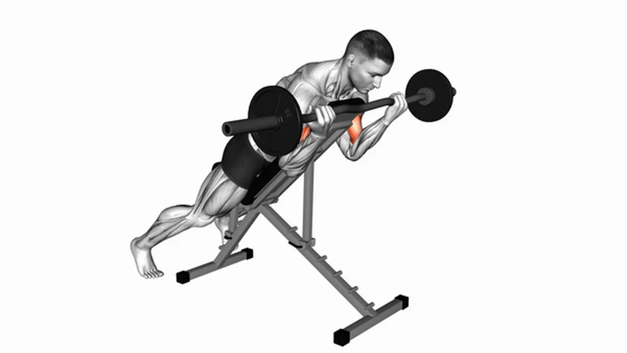 Common mistakes during EZ Barbell Spider Curls Image