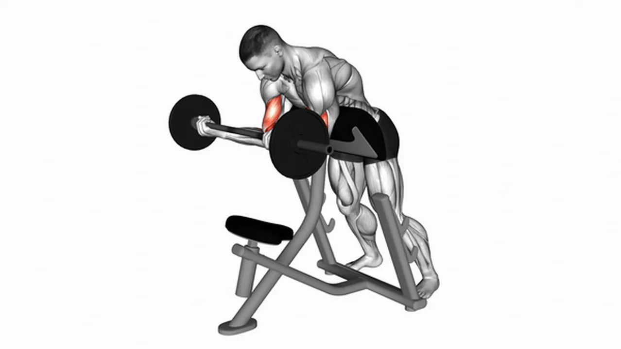 What are the benefits of EZ Barbell Standing Preacher Curls? Image