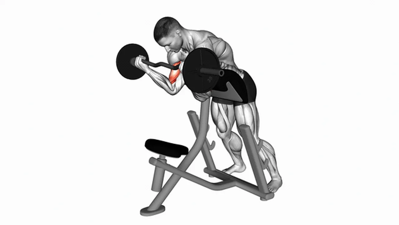 How to do EZ Barbell Standing Preacher Curls? Image