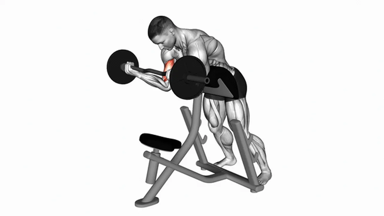 Alternatives to EZ Barbell Standing Preacher Curls Image