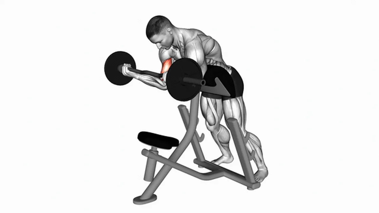 Common mistakes during EZ Barbell Standing Preacher Curls Image