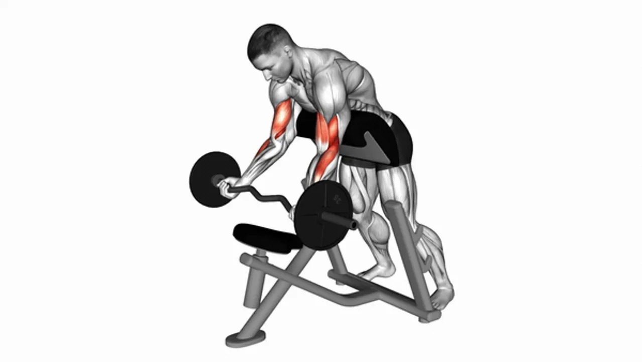 EZ Barbell Standing Preacher Curl