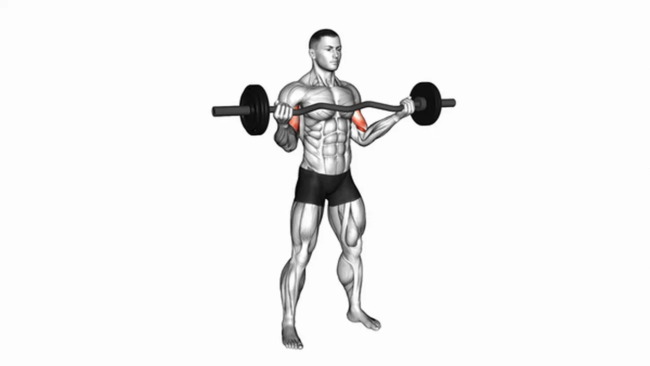 How to perform EZ Barbell Standing Wide Grip Biceps Curl? Image