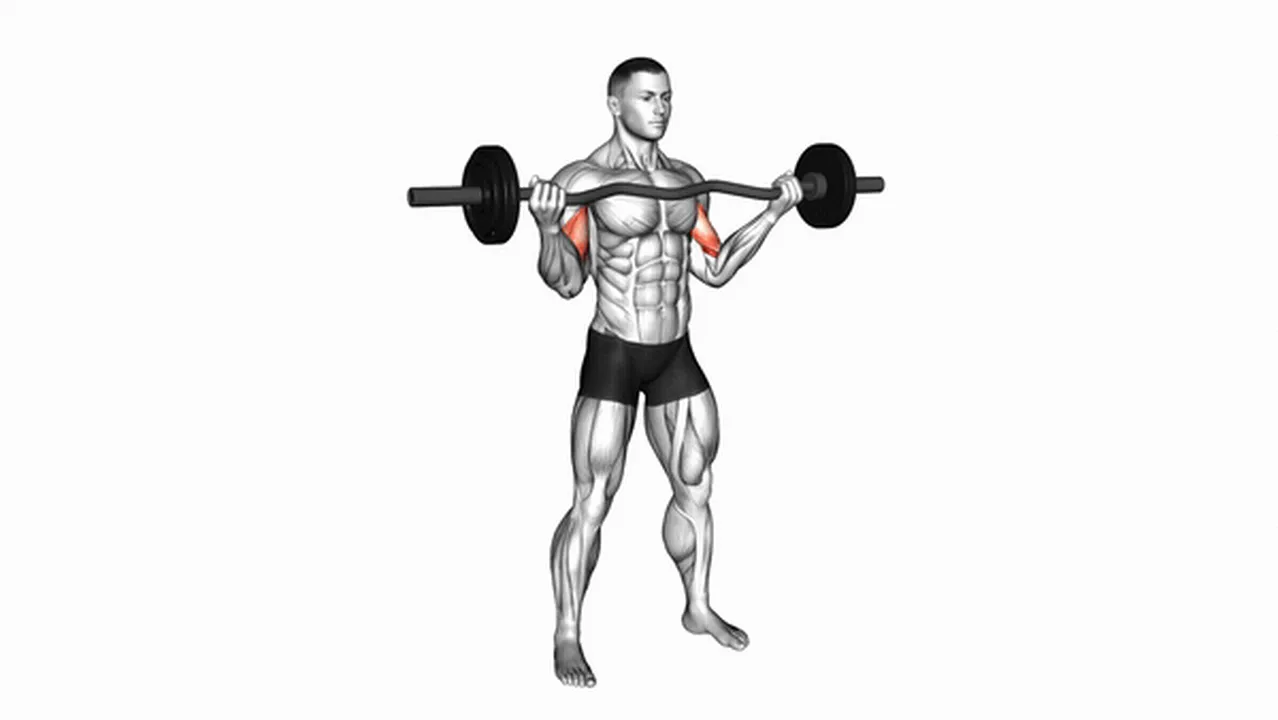 Common EZ Barbell Standing Wide Grip Biceps Curl variations Image