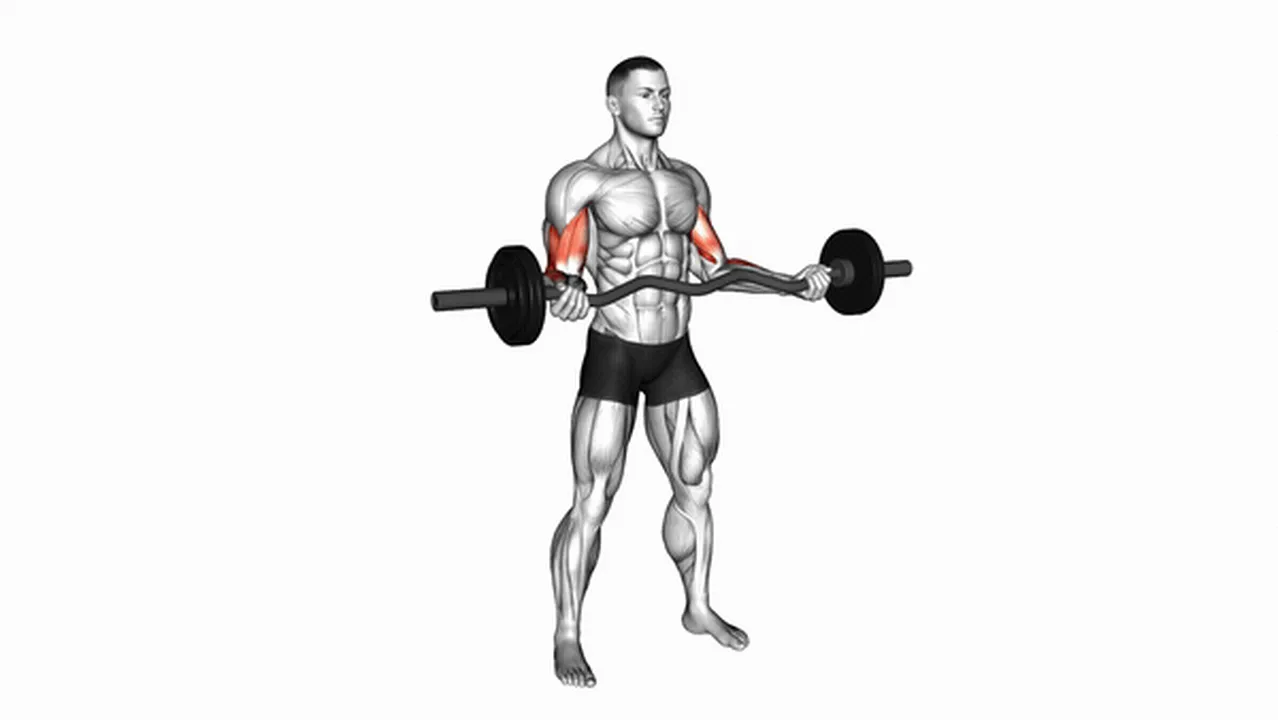 Common mistakes during EZ Barbell Standing Wide Grip Biceps Curl Image