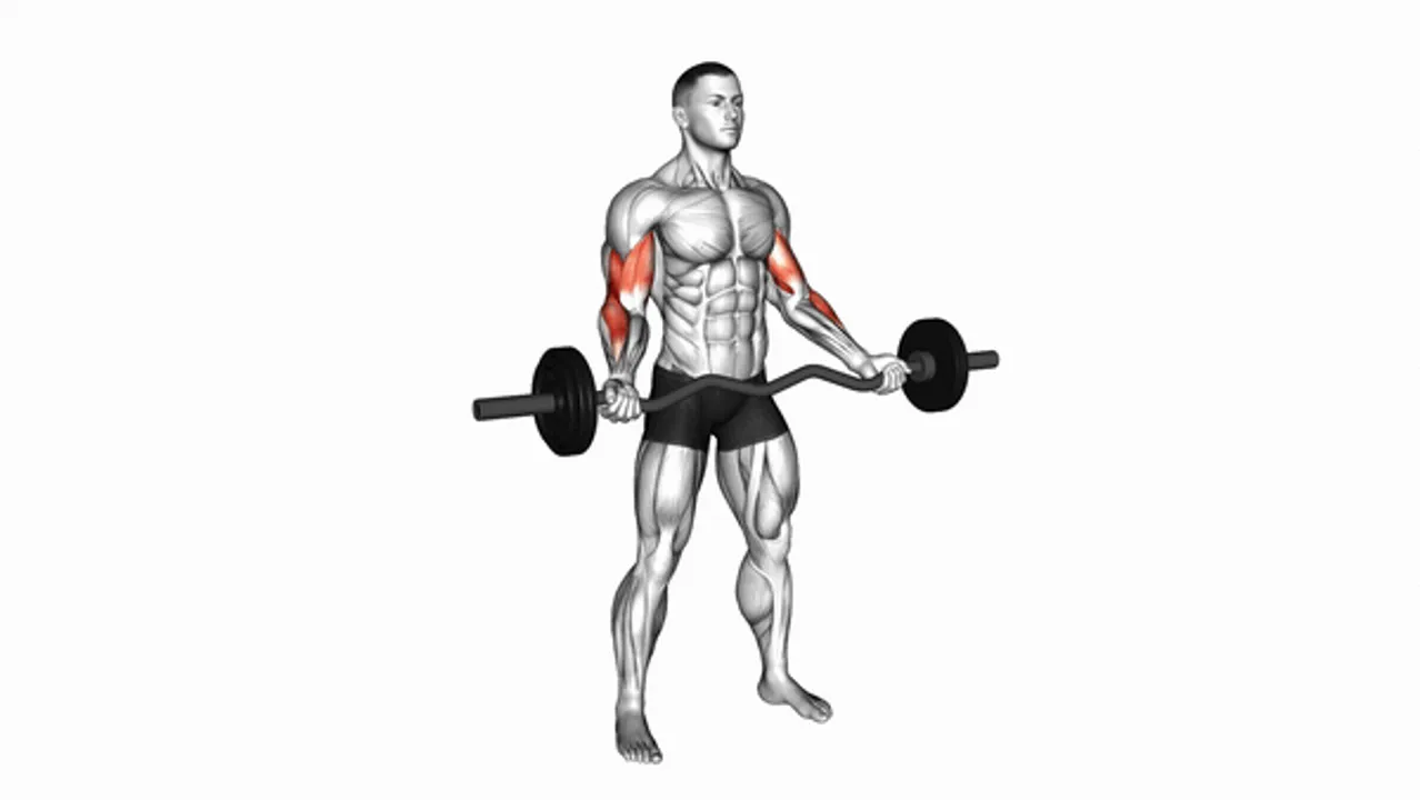 EZ Barbell Standing Wide Grip Biceps Curl