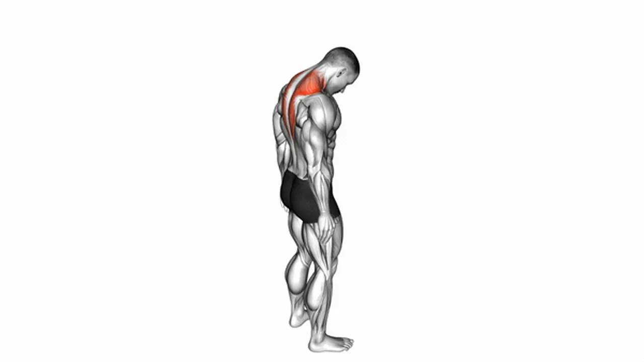 Benefits of the Forward Flexion Neck Stretch Image