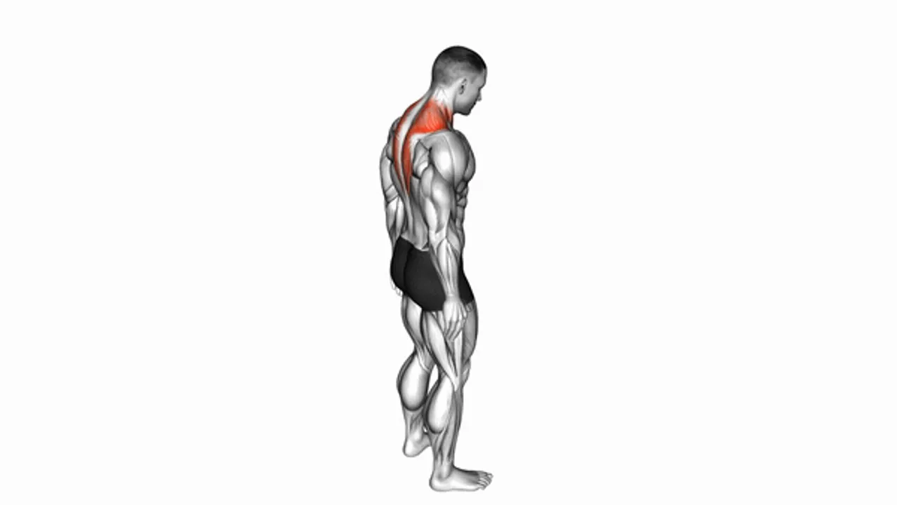 Forward Flexion Neck Stretch