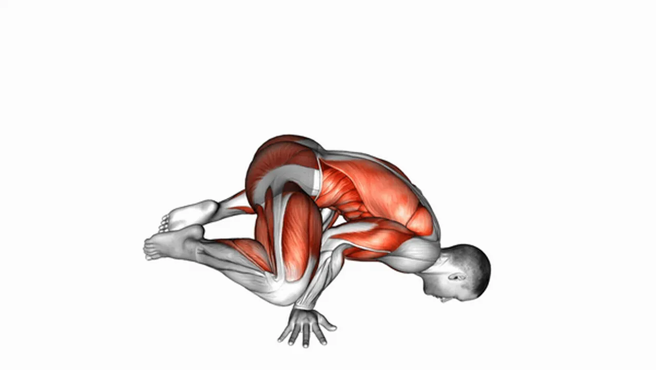 Alternatives to the Frog Planche Image